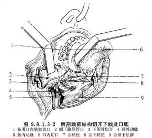 澳门新葡平台网址8883