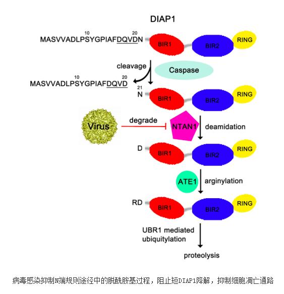 8883澳门新莆京老版本